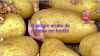 El peligro oculto de patatas con brotes [upl. by Lin]