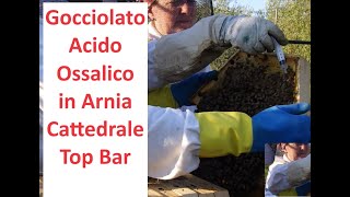 Gocciolato Acido Ossalico in Arnia Cattedrale Top Bar [upl. by Mun]