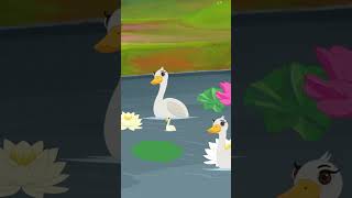 Endu Bangi Kids Tv Malayalam എൻഡു ബാംഗി shorts nurseryrhymes lotus trendingshorts [upl. by Annette]