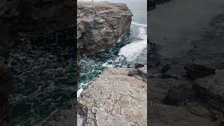 Wexford moment wexford ireland travelvlog sealovers natureshorts naturelovers naturesounds [upl. by Ittocs77]