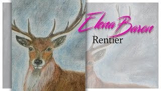 Rentier Speedpaint  Rentier malen mit Aquarell und Pastellkreiden [upl. by Tedric]