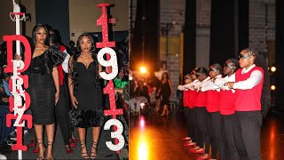 DELTA SIGMA THETA SORORITY INC SPRING 24 THATS SO LINCOLN [upl. by Pallaten]