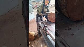 Dangerous Firewood Processor Shorts Viral Woodworking Skills [upl. by Olivia]