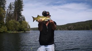 I fished Long Lake in Eastern Washington for the first time [upl. by Oinotnaesoj]