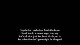 Shinedown  Cyanide Sweet Tooth Suicide With Lyrics [upl. by Yeslehc618]