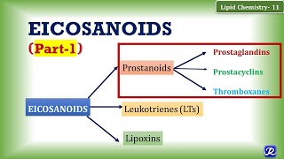 11 Eicosanoids Part 1 Prostanoids Prostaglandin Prostacyclin Thromboxane  Lipid Chemistry11 [upl. by Estevan]