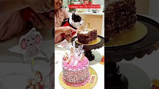 CELEBRATE DOG BIRTHDAY CAKES 🎂🐕  NATURAL DOG CAKES HYDERABAD PET FOOD SHOP [upl. by Tarr875]