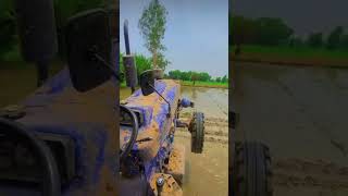 Kaake Da trend trending automobile driver shortvideos viralvideos shankargolden3786 viral [upl. by Anelaf]