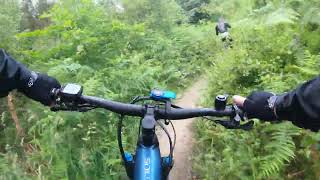 EMTB  Dalby Forest highlights of the red trail [upl. by Leohcin]