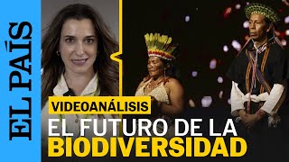 El mundo discute el futuro de su biodiversidad en la COP16 de Cali [upl. by Ainaj665]