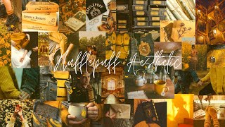 Hufflepuff Aesthetic Clips for Edits [upl. by Nwadrebma]