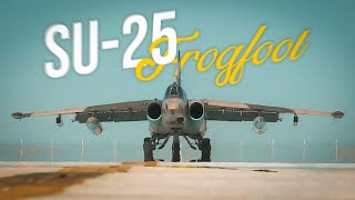 Su25 Frogfoot in Action  Azerbaijan Air Force [upl. by Haidebej]