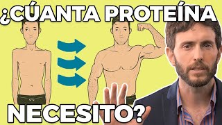 ¿Cuánta Proteína Necesitas Consumir [upl. by Kamaria]