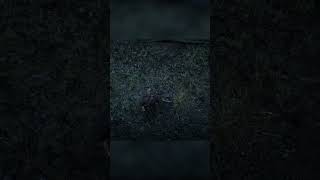 Secret Melee Weapons  Double Bit Hatchet Location in Red Dead Redemption 2 shorts rdr2 hidden [upl. by Berk]