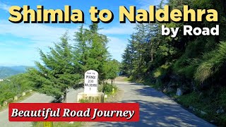 Naldehra Shimla  बेहद खूबसूरत रोड सफर Shimla to Naldehra by Road  How to go Naldehra from Shimla [upl. by Saffian898]