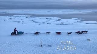 Iditarod in Nome Alaska 2019 [upl. by Inanak]