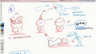 Tocilizumab Interleukin 6 Receptor Blocker [upl. by Beret]