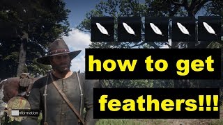 Red dead redemption 2 How to get feathers [upl. by Costanza]