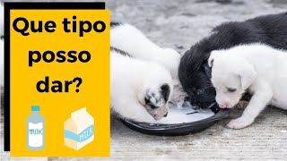 🔴 PODE DAR LEITE PARA FILHOTE DE CACHORRO  Integral  Desnatado  Zero Lactose [upl. by Golden744]