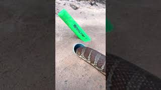 DIY Snake Trap make Spotliner short snake snaketrap ytshort subscribe viralshort [upl. by Cirded712]