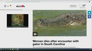 Woman dies after encounter with gator in South Carolina [upl. by Namya]