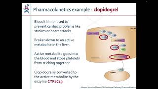 Introduction to Pharmacogenomics [upl. by Andy754]