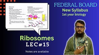 Ribosomes  Ribosomes structure and function  class 11 [upl. by Yevrah]