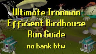 Ultimate Ironman  Efficient Birdhouse Run Guide [upl. by Reppep280]