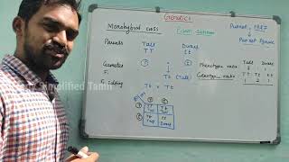 Monohybrid cross  Genetics  Quick notes  Senthilnathan  Tamil [upl. by Elvie]