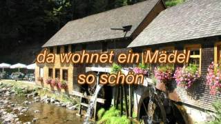 Die Mühle im Schwarzwälder Tal mit TextLyrics zum Mitsingen [upl. by Guerin82]