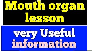 Mouth organ lesson for beginners  how to use mouth organ stand [upl. by Anitnatsnoc]