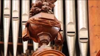 Aria quotBlute nur du liebes Herzquot  JSBach Ron Dekker  orgel [upl. by Nolyaj245]