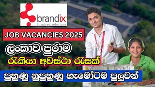 Brandix Job Vacancies I Job Vacancies In Sri Lanka I New Job Opportunities [upl. by Enneiluj]