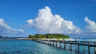 Snorkeling in Maldives [upl. by Aeslek]