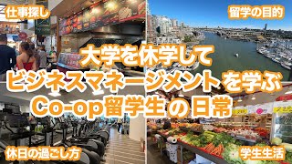 【VLOG】大学休学をしてビジネスマネージメントを学ぶCoop留学生の日常〜カレッジの授業、バンクーバーでのお仕事探しについて〜 [upl. by Mascia287]