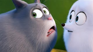 映画『ペット2』永作博美演じる猫のクロエにフォーカスした特別映像 [upl. by Slade]