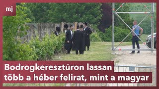 Bodrogkeresztúron lassan több a héber felirat mint a magyar [upl. by Levinson]