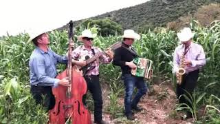 Los Garcia de parral corrido la mula Alazana [upl. by Durrace979]