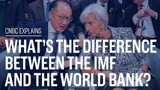 Whats the difference between the IMF and the World Bank  CNBC Explains [upl. by Acinoev]