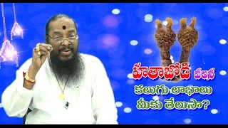 Hatha jodi Uses  హతా జోడి ఉపయోగాలు  DrKAtchi Reddy  OM SHAKTHI TV [upl. by Mirabel160]