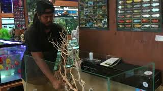 Aquascape Tank Build  Ultum Nature Systems 120U Rimless Tank [upl. by Potter204]