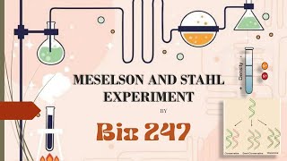 Meselson and Stahl Experiment Explained  Class 12 Biology  DNA Replication SemiConservative Model [upl. by Eneiluj]