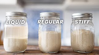 7 Sourdough Starter Tips REGULAR vs LIQUID vs STIFF [upl. by Lusa]