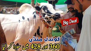 Big Deal 360K Ma Qurbani Ka Janwar Le Lia Gondal Mandi Attock Update May 2024  Bhatta Chowk Update [upl. by Salome]