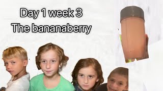 Day 1 week 3 the bananaberry ￼ [upl. by Muraida]