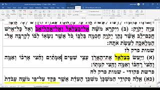 parshat Vayakhel  27 Adar 1 5784 [upl. by Aihsilef]