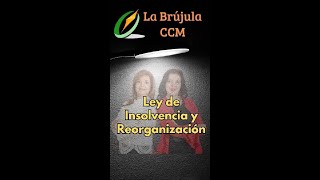 Ley de Insolvencia y Reorganización [upl. by Dorion]