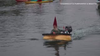 People compete in the Damariscotta Pumpkinfest Regatta [upl. by Atirihs]