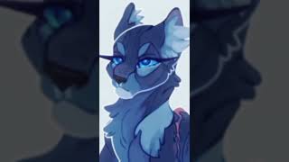 The leaders and their downfalls edit song bluestar blackstar nightstar tallstar ect [upl. by Akeenat]