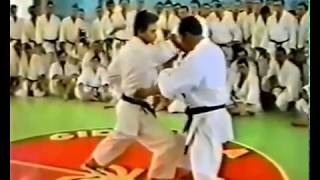 Hiroshi Shirai Sensei Teach Bunkai Of Kata Empi [upl. by Novick]